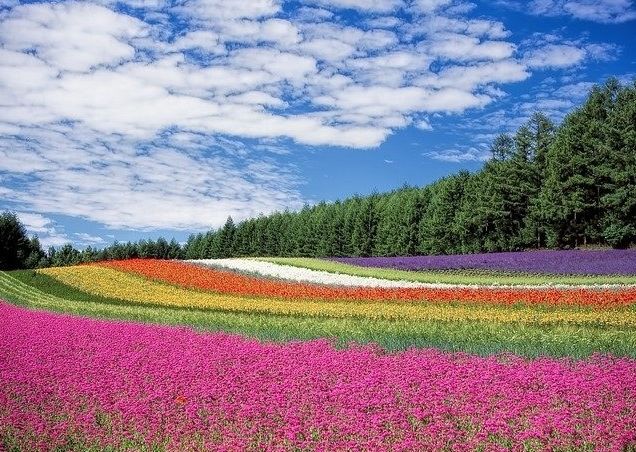 호수풍경 이미지
