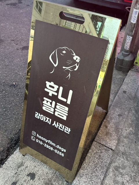 후니필름 이미지