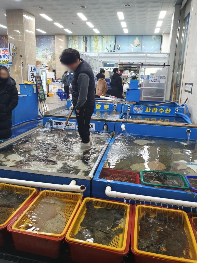 사라유통 이미지