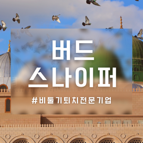 청소스나이퍼 이미지