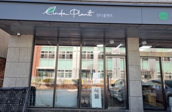린다플랜트 이미지