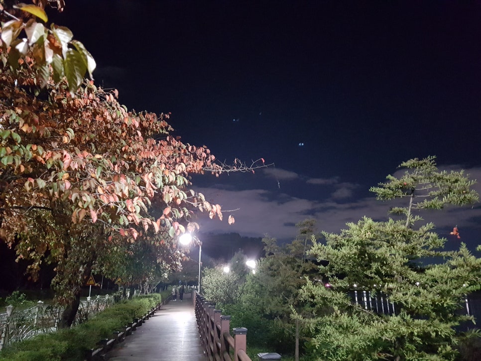 어셈블뷰티 이미지