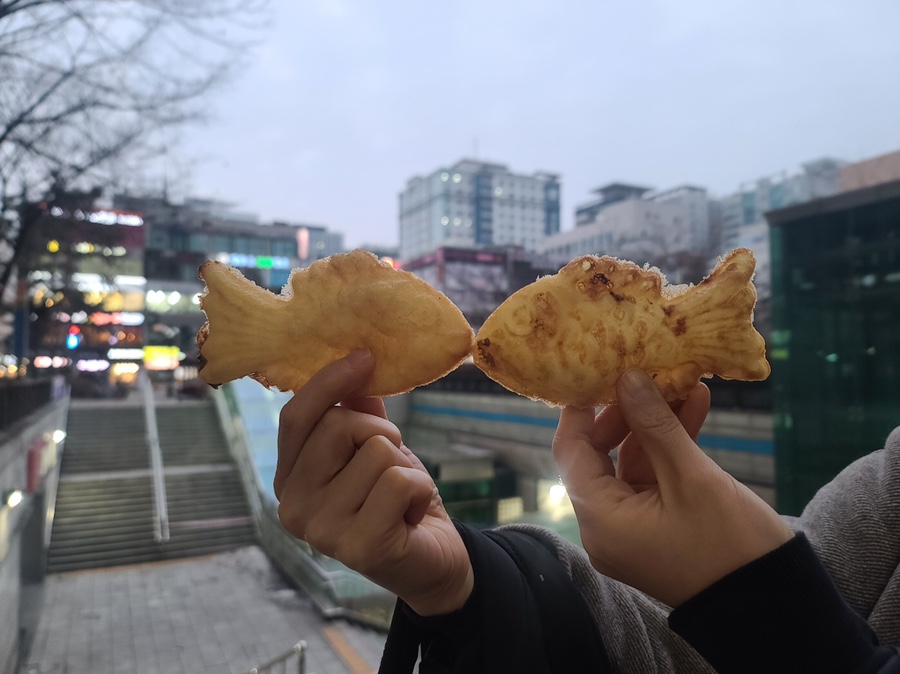 레드팡과자점 이미지