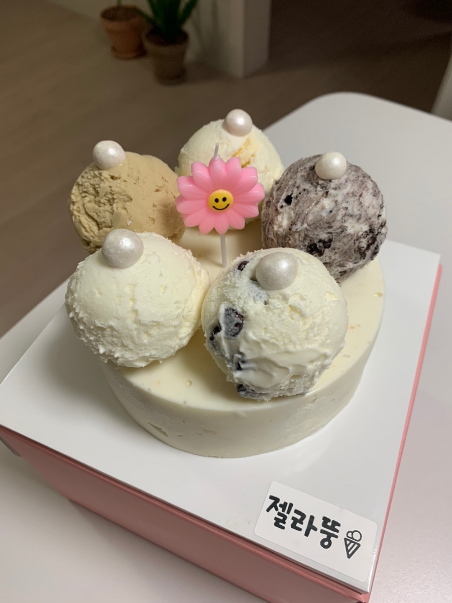 젤라정 이미지
