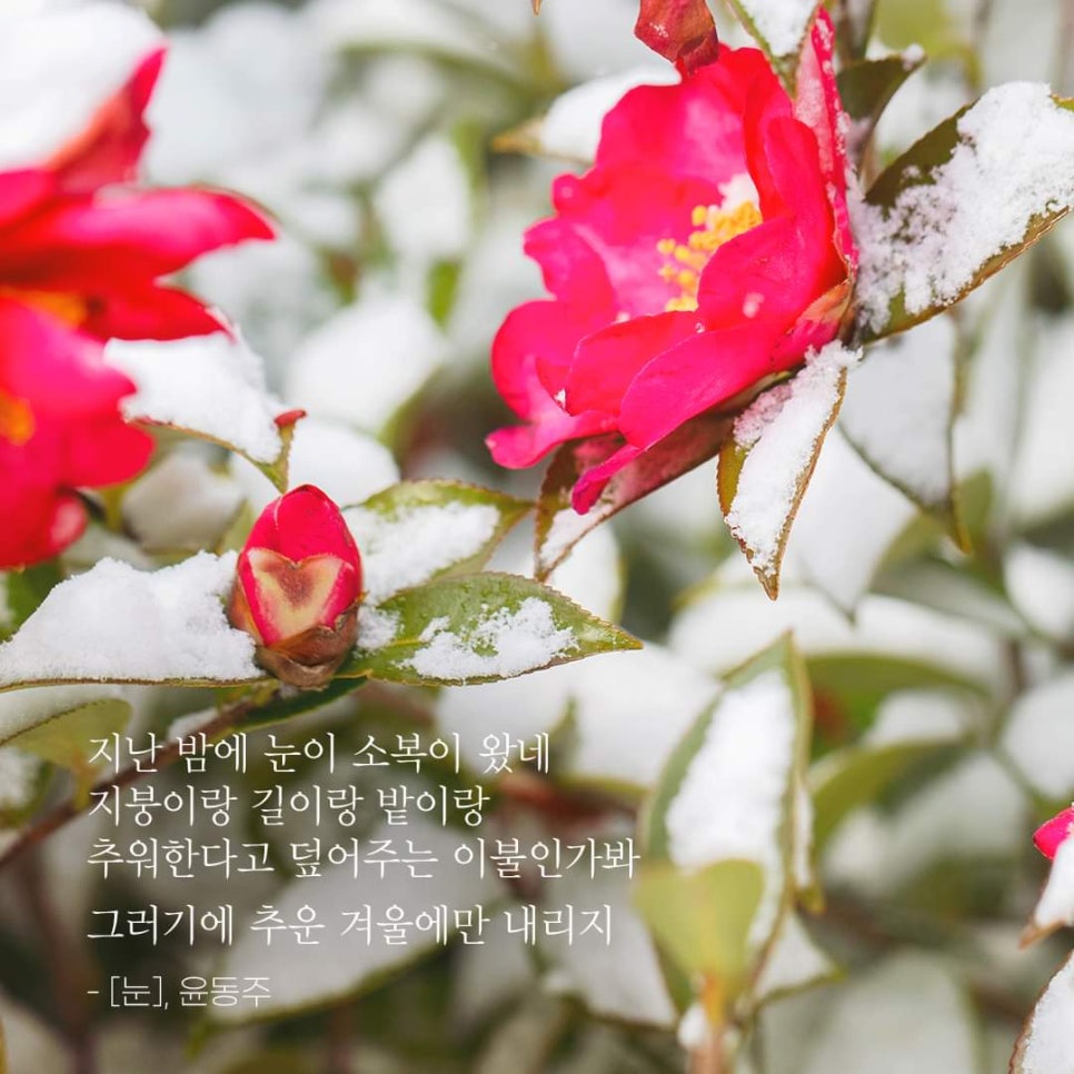 천사의정원 이미지