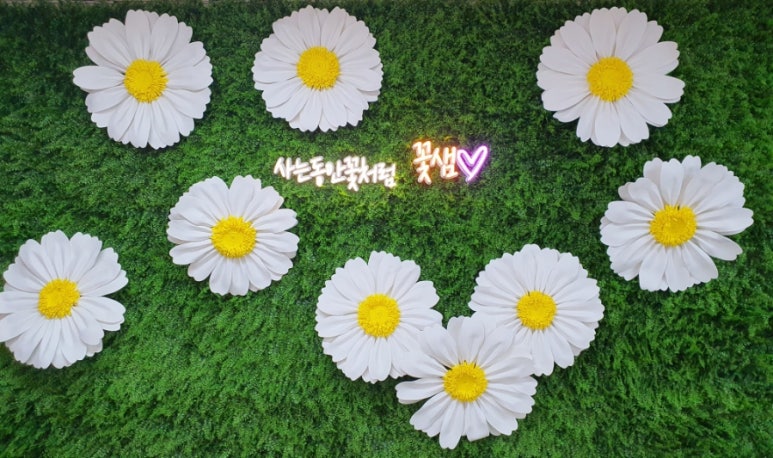 태산플라워 이미지
