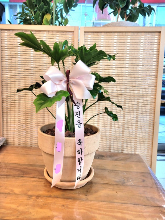 중부꽃화원 이미지
