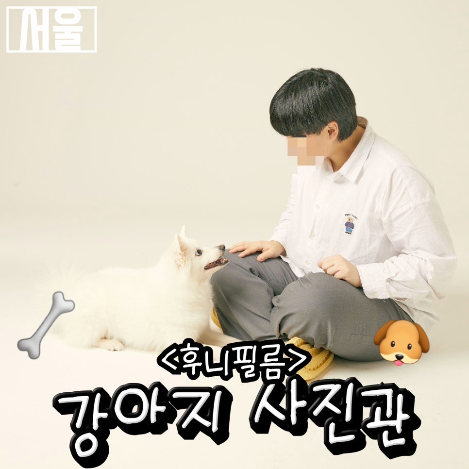 후니필름 이미지