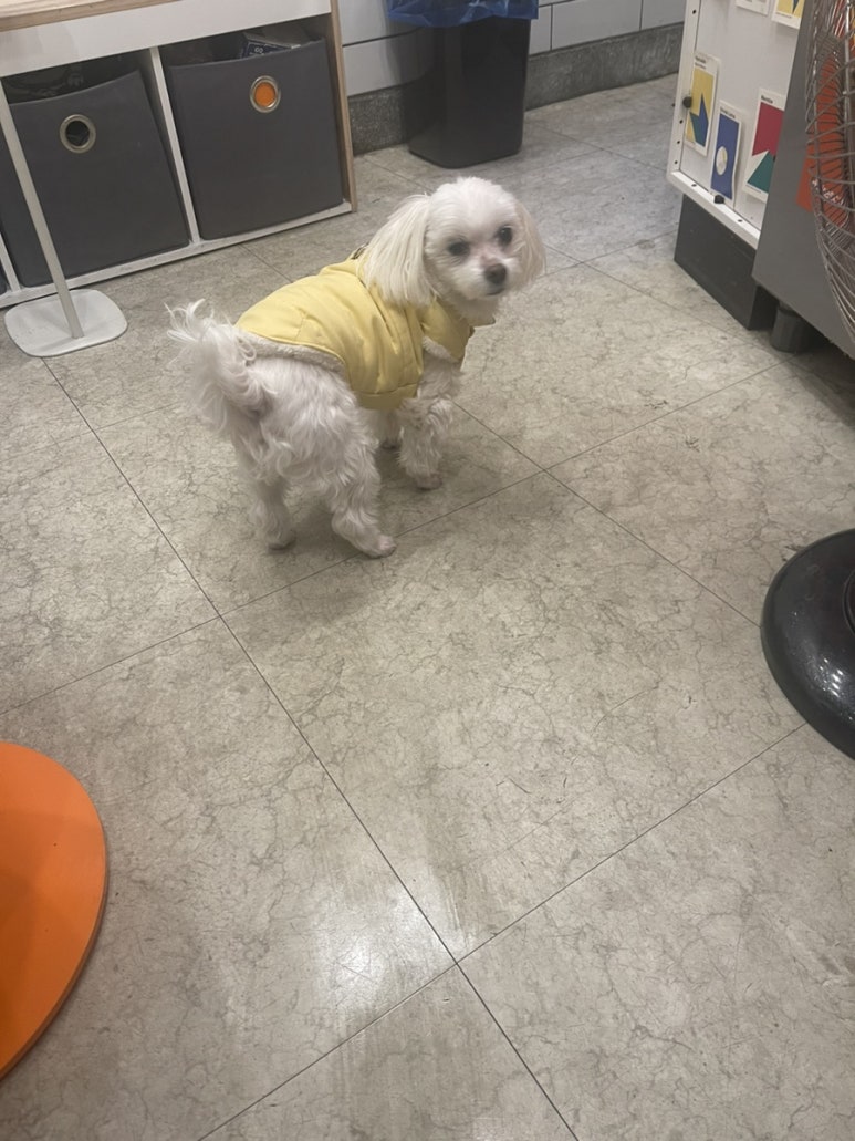 로다운컵 이미지