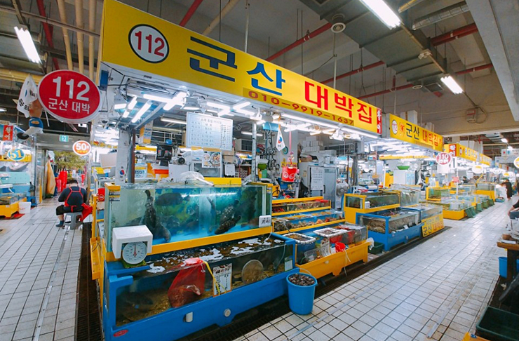역시대박집 이미지