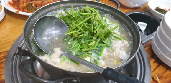 이경희마산물꽁 이미지