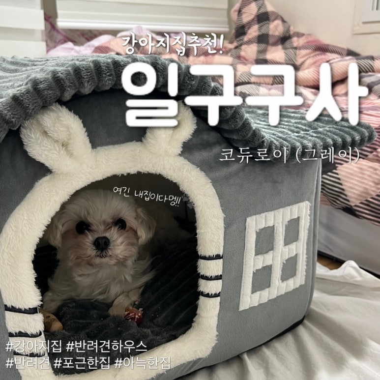 일구구사 이미지