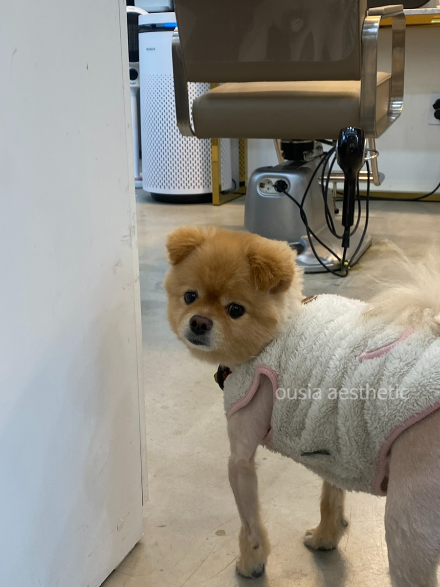 예닮헤어 이미지