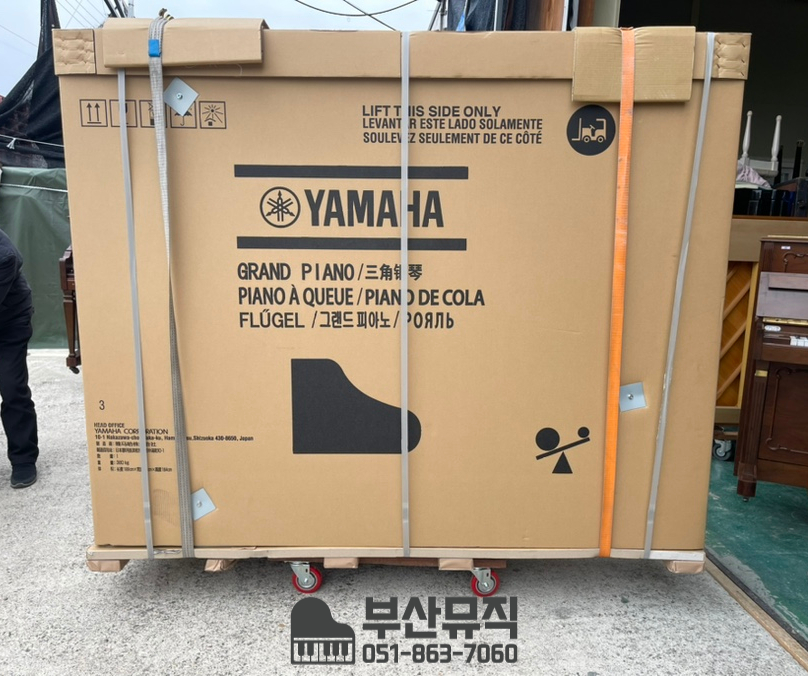 솔리스트음악학원 이미지