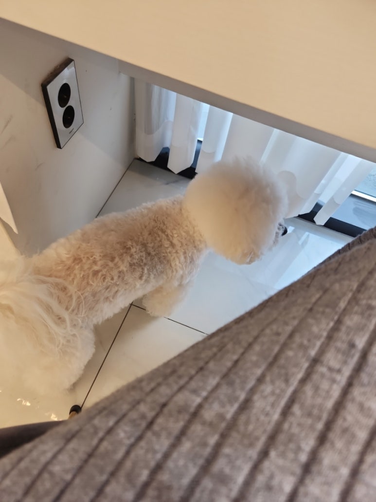 살롱위닝 이미지