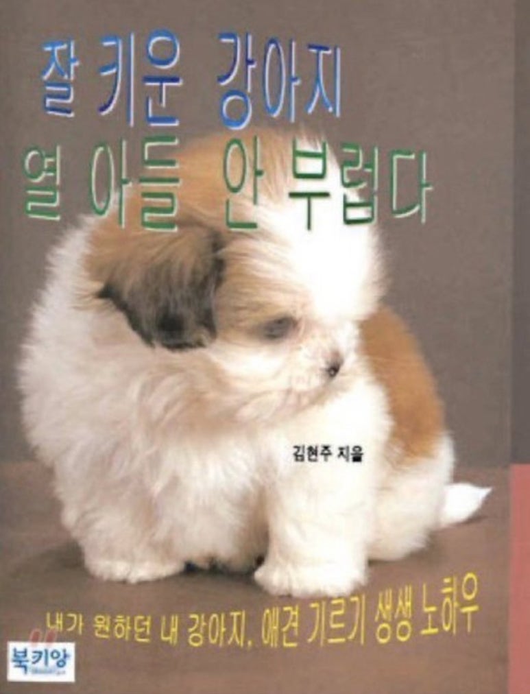 인 이미지