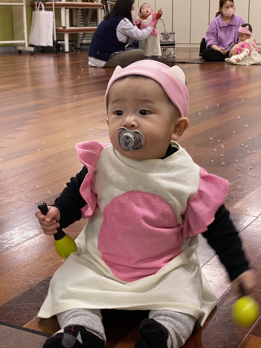 도레미씨앗 이미지