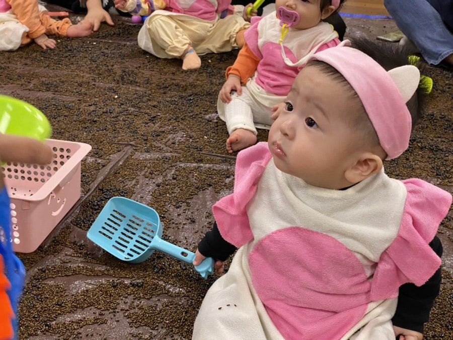 도레미씨앗 이미지