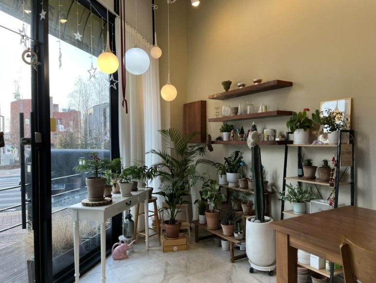 이즈로제 이미지