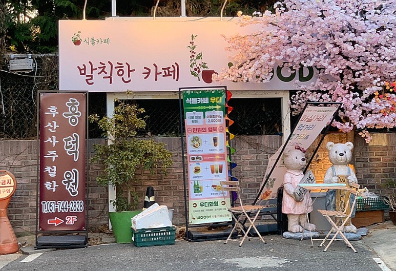 발칙한카페우디 이미지