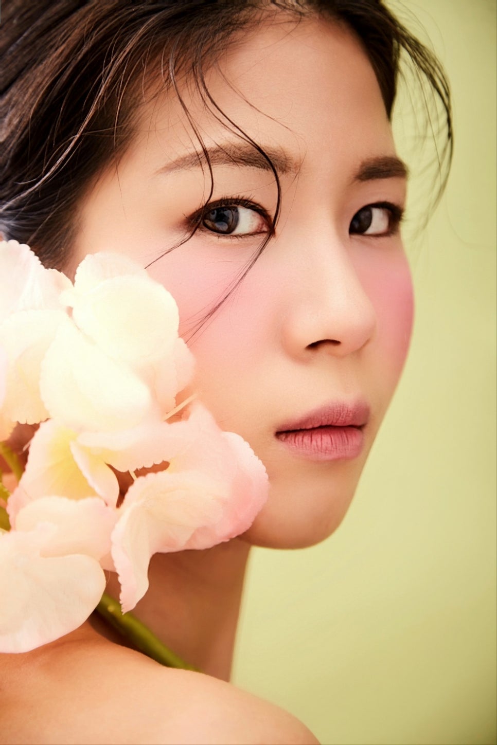 메이드파트너 이미지