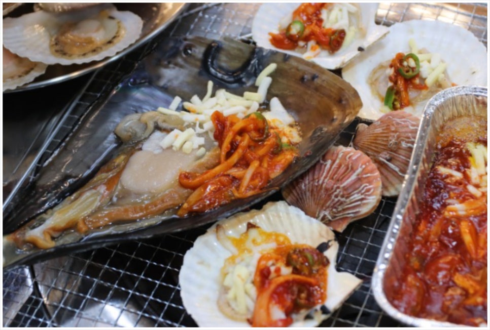 조개나라 이미지