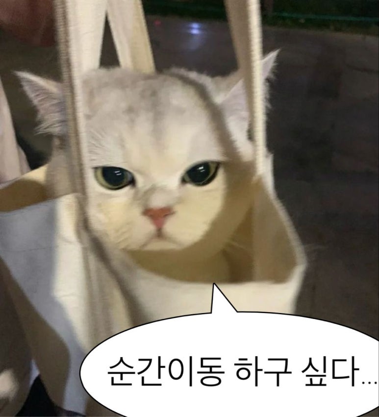 투어뱅크 이미지