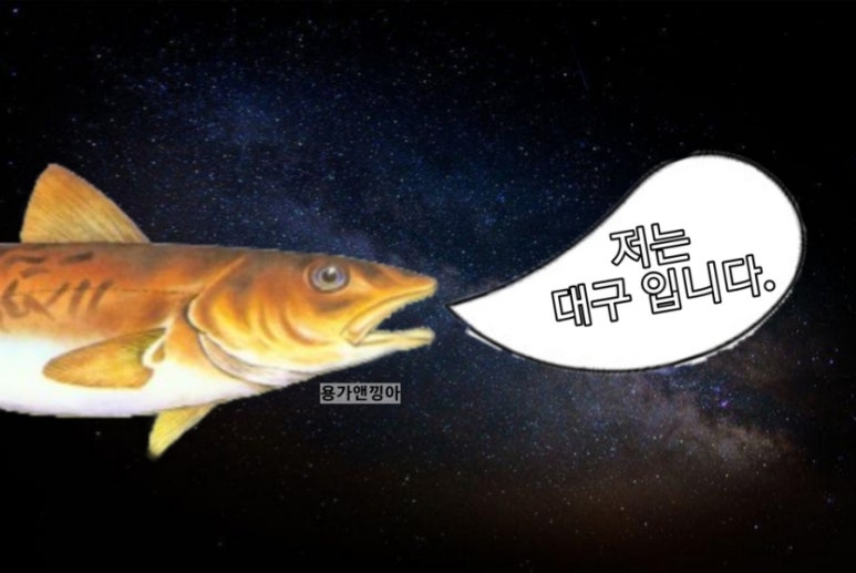 대구뽈찜무진장왕뽈때기 이미지