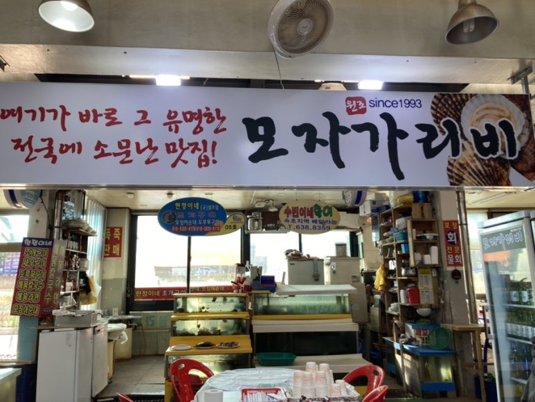 모자가리비 이미지