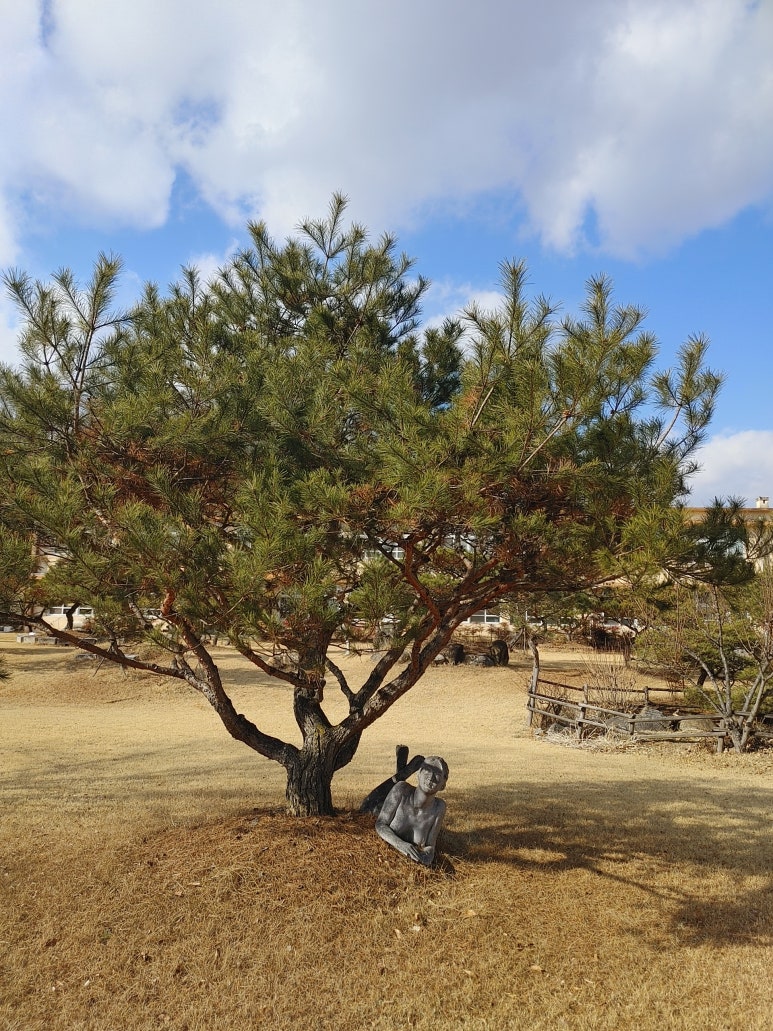 보성국민학교카페 이미지