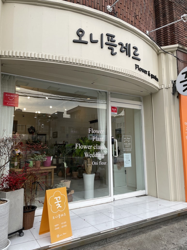 오니플레르 이미지