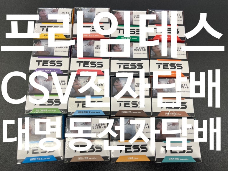 전자담배TESS 이미지