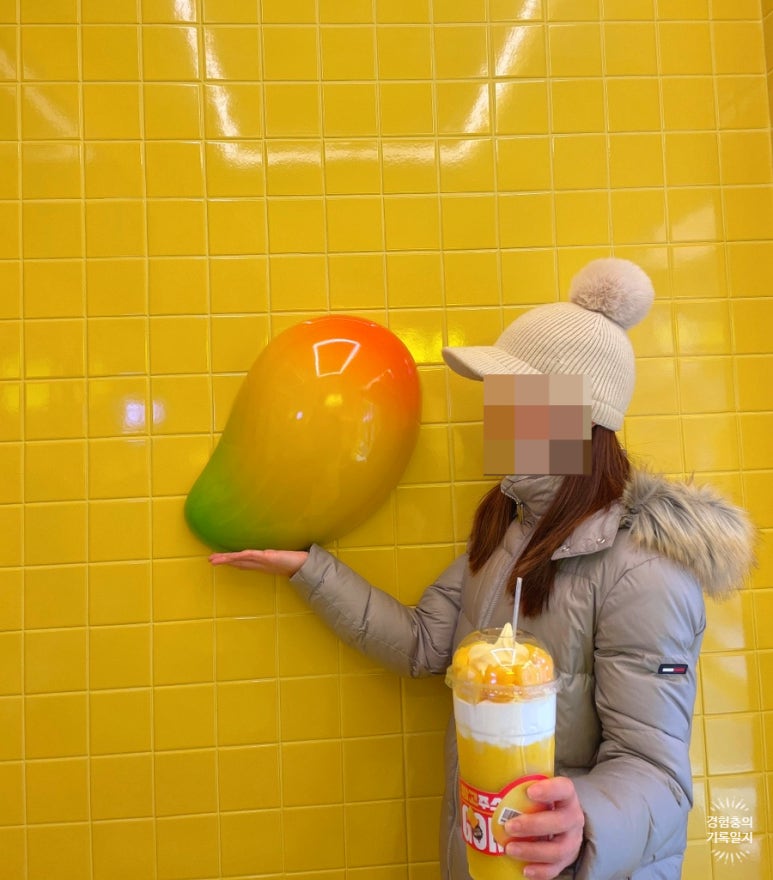 상아냉동 이미지