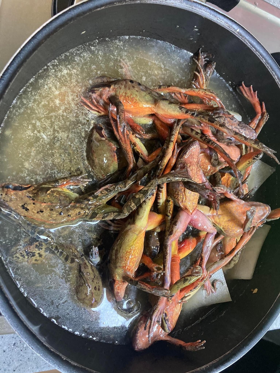 중앙탑민물 이미지