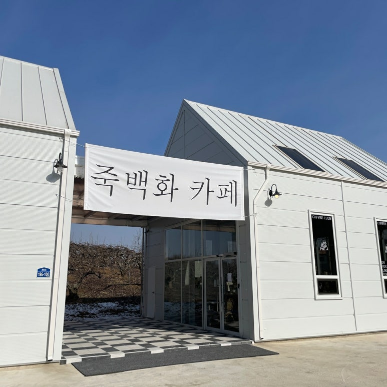 죽백화 이미지