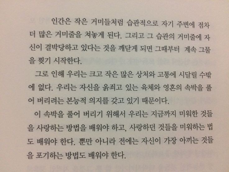 알라카트 이미지