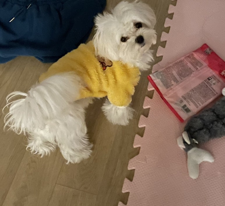 리치저니 이미지
