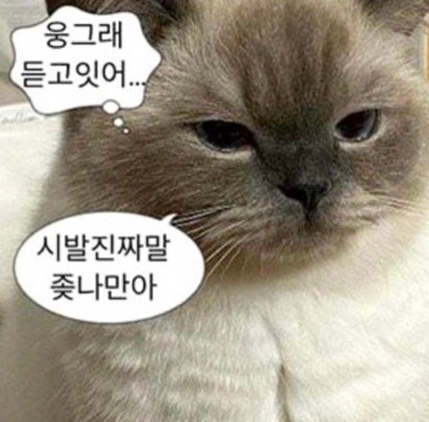 오산마트 이미지
