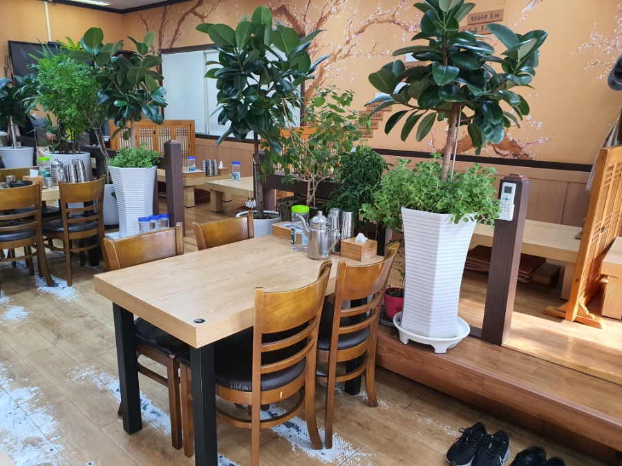 신박사 콩사랑 이미지