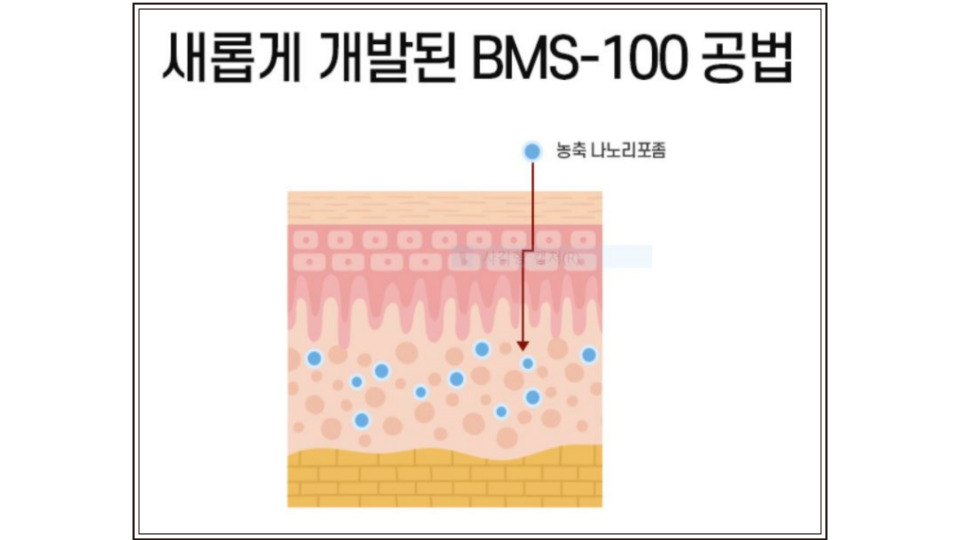 기성기업 이미지