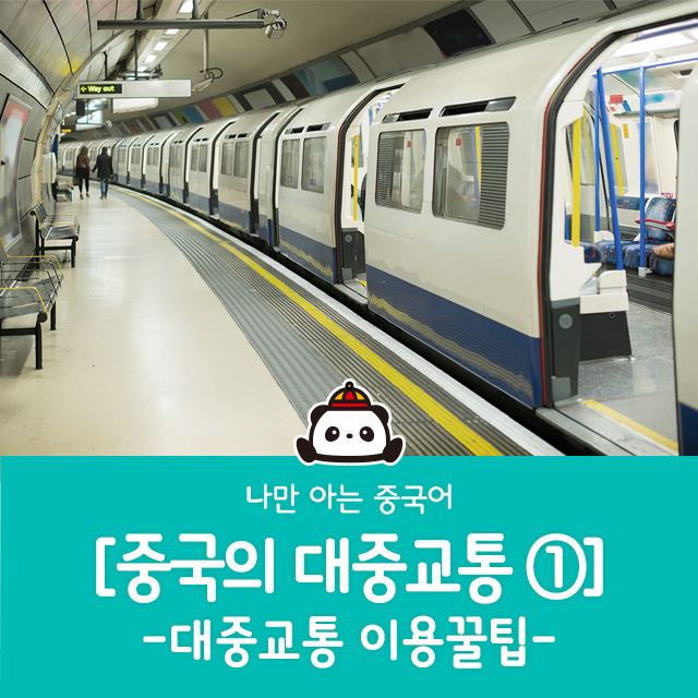 차이랑중국어인천김포지사 이미지