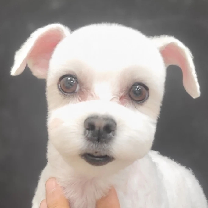 미용타운 이미지