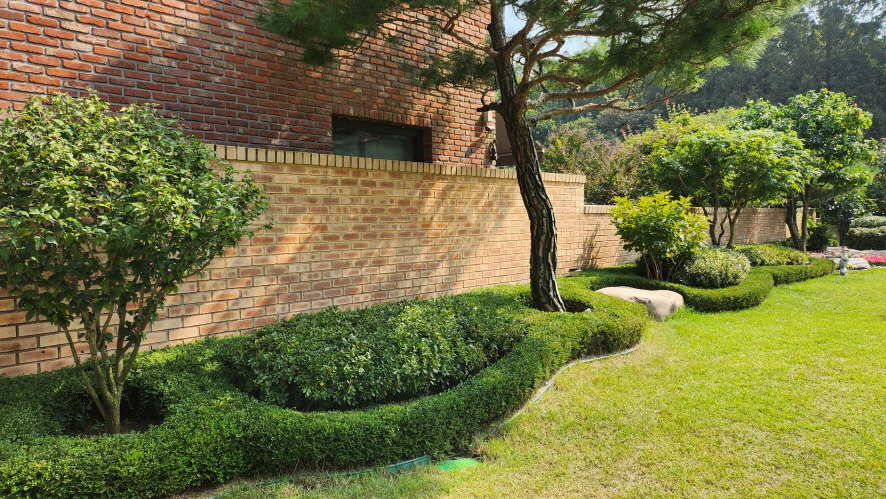 거미조경 이미지