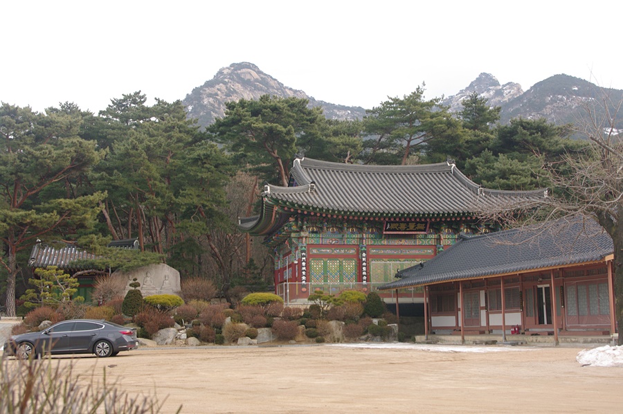 심씨농원 이미지