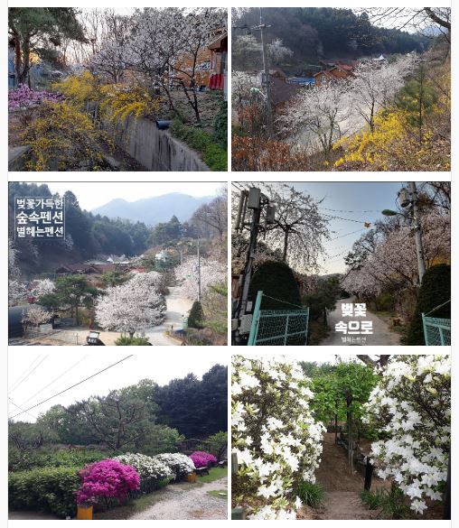 숲속나들이펜션 이미지