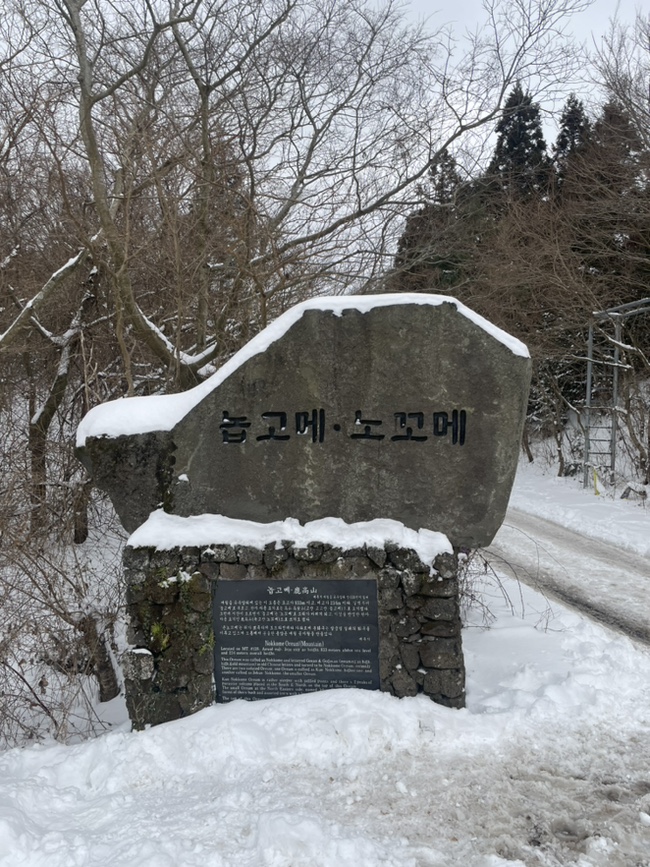 오름라이팅 이미지