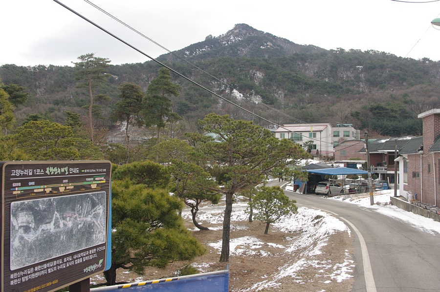 심씨농원 이미지