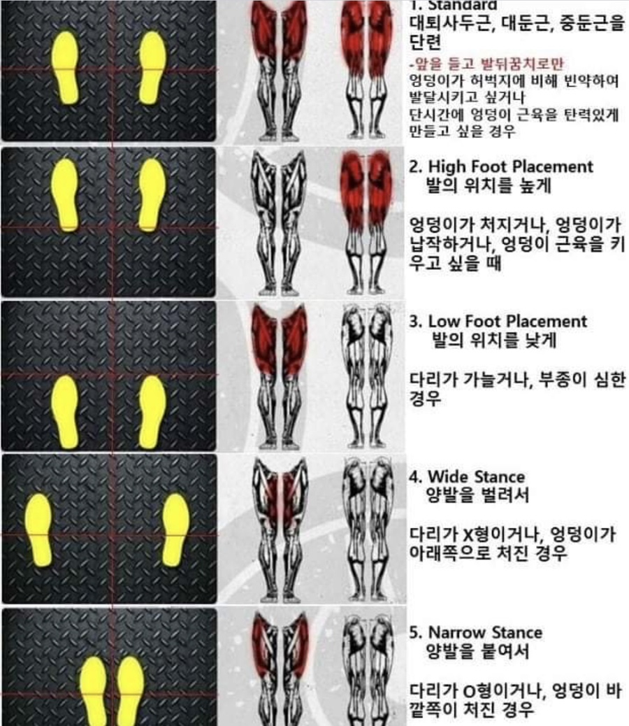 나이스프레스 이미지
