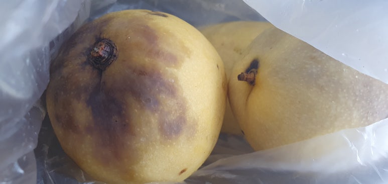 한라농산 이미지