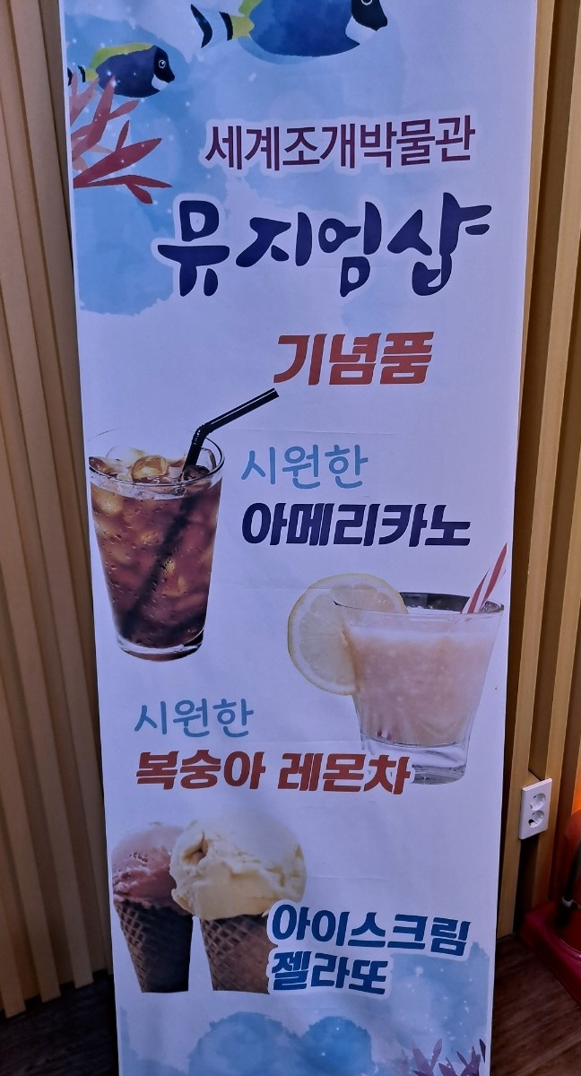 신안조개박물관뮤지엄샵 이미지